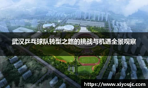 武汉乒乓球队转型之路的挑战与机遇全景观察